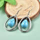 Blue Howlite Hook Earrings in Stainless Steel 23.00 Ct.