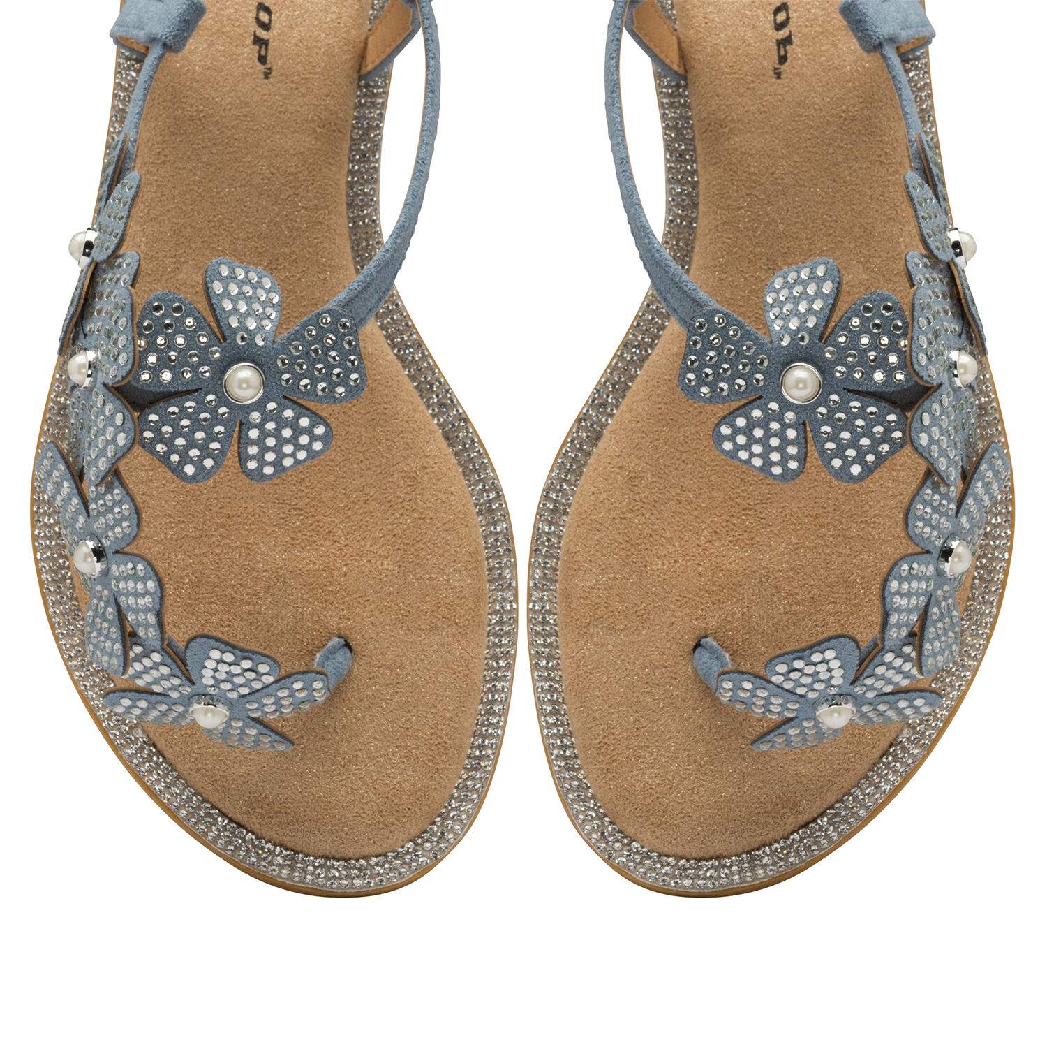 DUNLOP Rae Floral Embellished Sandals - Dusky Blue
