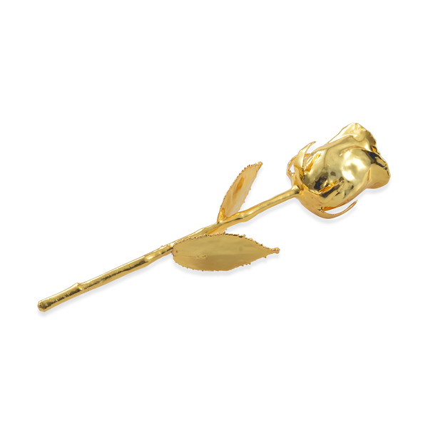 Gold Plated Eternal Hand Picked Rose in Golden Box Size 15 Cm - 3003867 ...