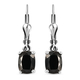 Elite Shungite Lever Back Earrings in Platinum Overlay Sterling Silver 1.67 Ct.