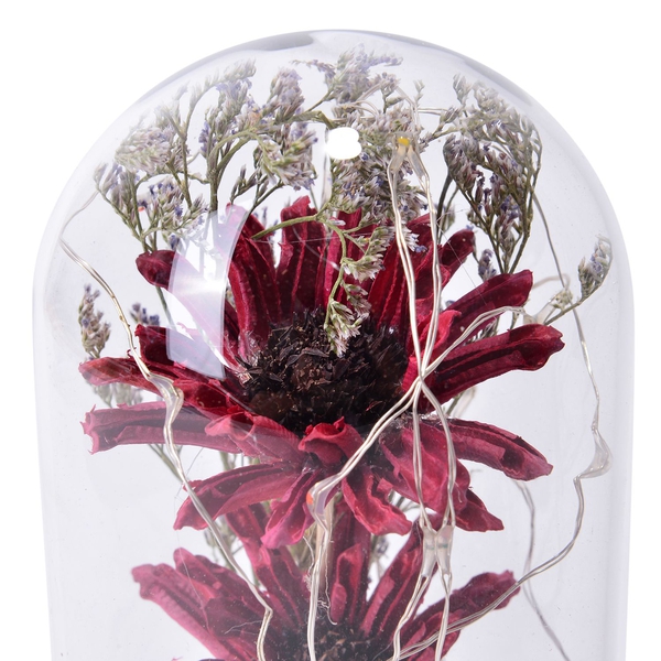 Red Gerbera Daisy Flowers and Fallen Petals Preserved in Glass Dome with LED Lights (Size 20X10 Cm)