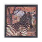 5D Zebra Painting (Size 44 Cm)