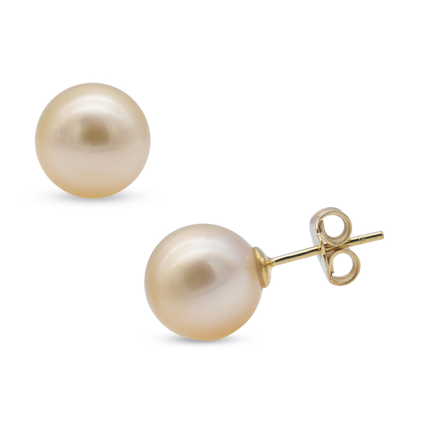 14K Yellow Gold South Sea Golden Pearl Stud Earrings (with Push Back)