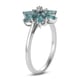 Grandidierite and Natural Cambodian Zircon Ring in Platinum Overlay Sterling Silver 1.46 Ct.
