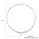 White Freshwater Pearl  Necklace (Size - 20) in  Sterling Silver