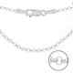 Sterling Silver Belcher Chain (Size 22) with Lobster Clasp