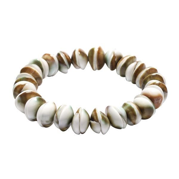 Collectors Edition - Shiva Eye Shell Stretchable Bracelet (Size 6.5)