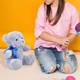 Bear Plush Toy (Size 20x30 Cm)- Grey -  Age 3+