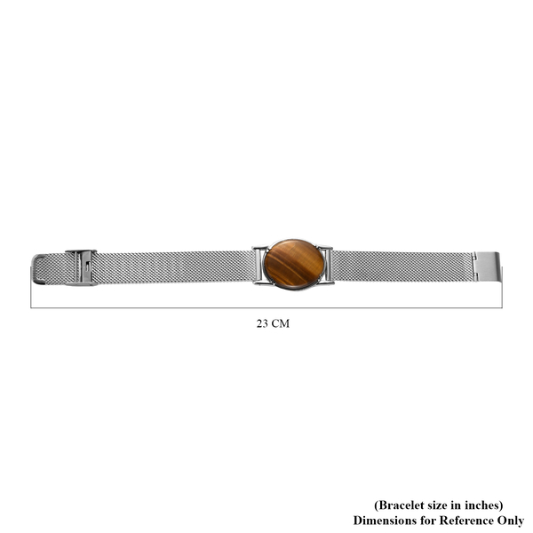 Tiger Eye Bracelet (Size 9) in Stainless Steel