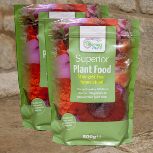 Gardening Direct Twin Pack Blooming Fast 500g Sachets = 1Kg