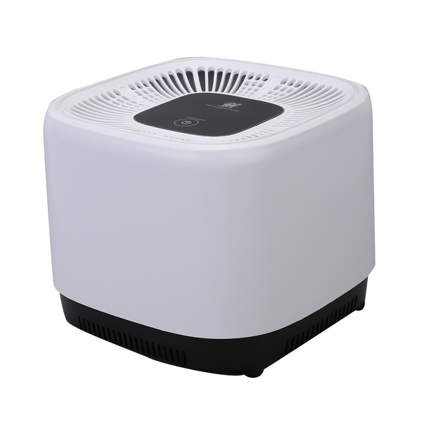 Multi Function Air Purifier with Hepa Filter (Size 21x15 Cm)