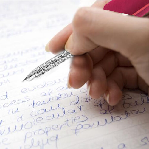 Set of Burgundy Feather Pen with Pen Stand, Black Ink (15ml) and 6-Different Nip Shapes in Silver Tone