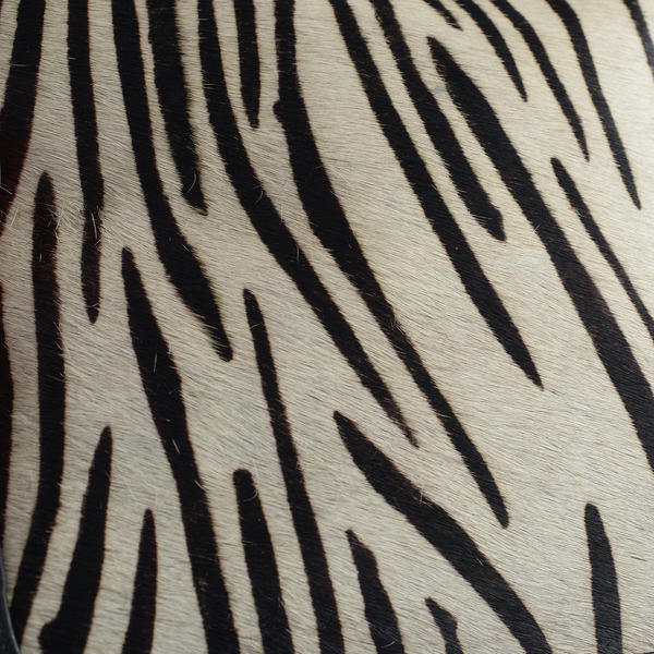 Genuine Leather Zebra Pattern Black and White Colour Handbag with External Zipper Pocket and Adjustable Shoulder Strap (Size 33x23x11 Cm)