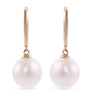 9K Yellow Gold White South Sea Pearl Lever Back Earrings