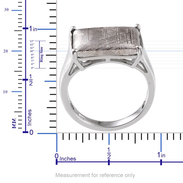 Meteorite (Bgt) Ring in Platinum Overlay Sterling Silver 17.400 Ct.