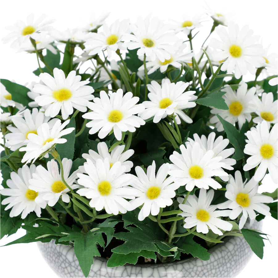 Daisy Flowers and Leaves in Ceramic Vase White 3613032 TJC