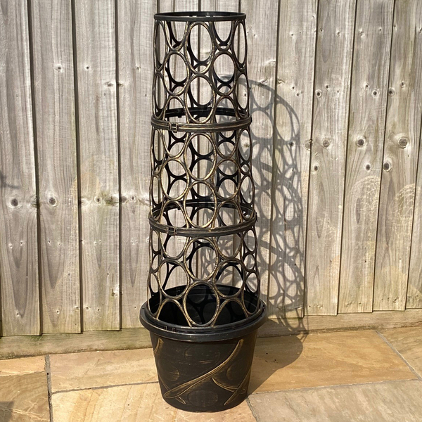 Gardening Direct Tower Pot with Petunia Tumbelina Plugs x 6 and 100gms Fertilzer