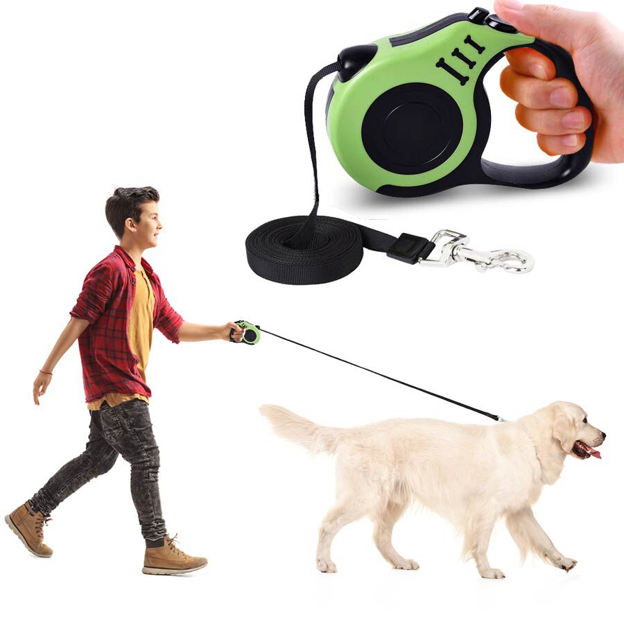 retractable dog leash lengths