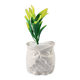 Home Decor - Set of 3 - Artificial Mini Plants in Ceramic Owl Pots (Size 6x4.5 Cm) - Blue, White and Green
