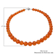 AAAA Grade Natural AGI Certified Baltic Amber Necklace (Size - 18) in Rhodium Overlay Sterling Silver with Magentic Lock 150.00 Ct.