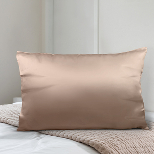 SERENITY NIGHT 100% Mulberry Silk Pillowcase Infused with Hyaluronic & Argan Oil in Champagne(Size 75x50 Cm)