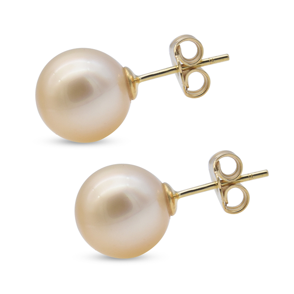 14K Yellow Gold South Sea Golden Pearl Stud Earrings (with Push Back)