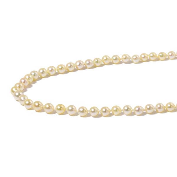 ILIANA 18K Y Gold Japanese Akoya Pearl (Rnd) Necklace (Size 18)