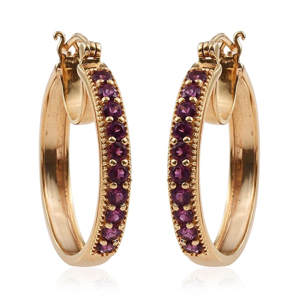 Rare Mozambique Grape Colour Garnet (Rnd) Hoop Earrings (with Clasp) in 14K Gold Overlay Sterling Si