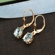 AA Sky Blue Topaz (Ovl) Earrings in 14K Gold Overlay Sterling Silver 2.96 Ct.