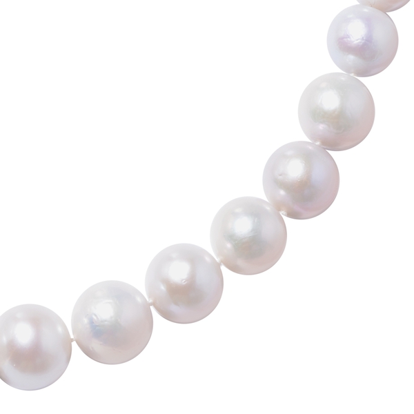 9K White Gold AAA White Edison Pearl Beads Necklace (Size 20)