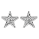 Diamond Star Earrings (With Push Back) in Platinum Overlay Sterling Silver