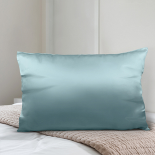 SERENITY NIGHT 100% Mulberry Silk Pillowcase Infused with Hyaluronic & Argan Oil in Light Teal Colour (Size 75x50 Cm)