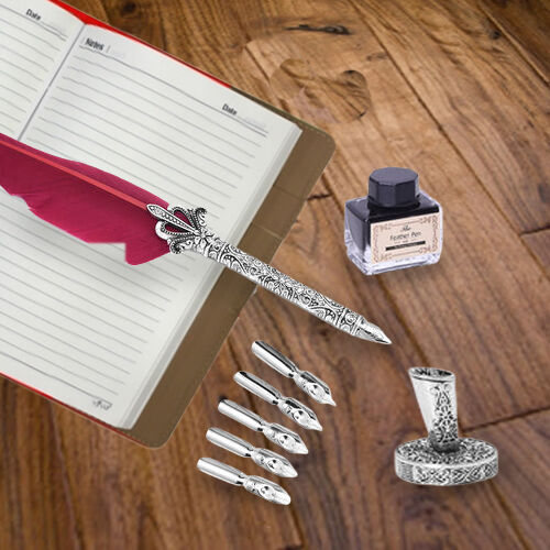 Set of Burgundy Feather Pen with Pen Stand, Black Ink (15ml) and 6-Different Nip Shapes in Silver Tone