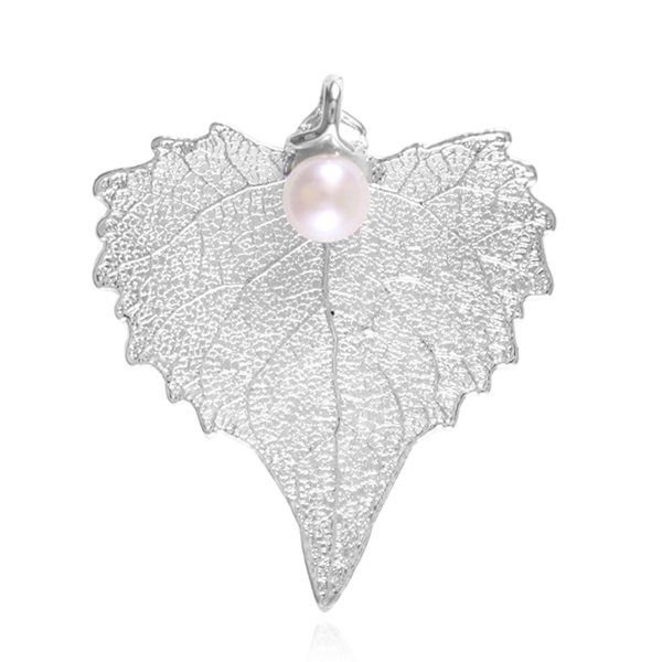 Real Cottonwood Leaf Jumbo Pendant (Size 6 - 6.5 Cm) Dipped in Silver