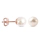 Japanese Akoya Pearl Stud Earrings (with Push Back) in Rose Gold Overlay Sterling Silver