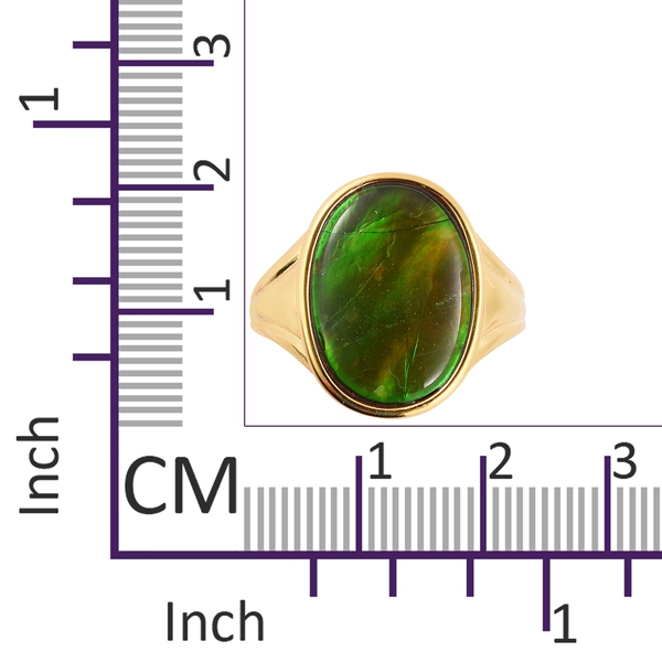 AA Canadian Ammolite (Ovl 18x13 mm) Ring in Vermeil Yellow Gold Overlay Sterling Silver.