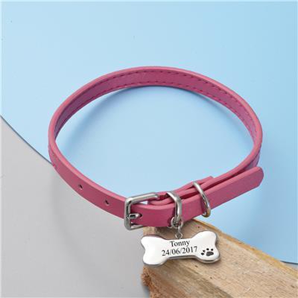Personalised Engravable Dog Collar