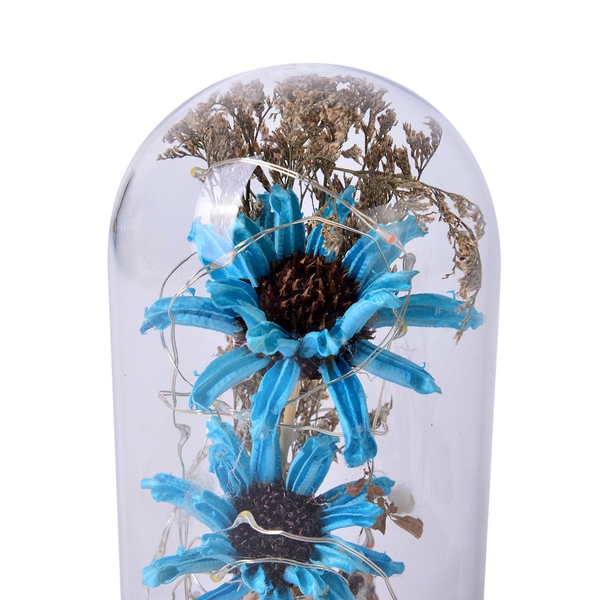 Blue Gerbera Daisy Flowers and Fallen Petals Preserved in Glass Dome with LED Lights (Size 20X10 Cm)