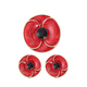 TJC Poppy Design - 2 Piece Set - Poppy Magnet Brooch and Earrings (with Push Back) in Yellow Tone