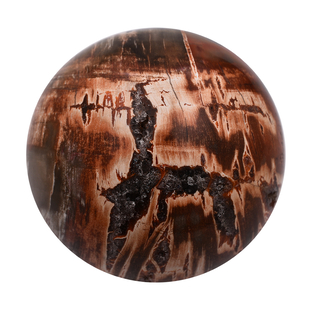 Tucson Rare Finds - Natural Polished Petrified Fossilised Wood Sphere - 4830 Ct.