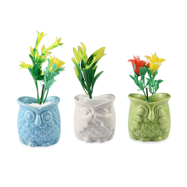 Home Decor - Set of 3 - Artificial Mini Plants in Ceramic Owl Pots (Size 6x4.5 Cm) - Blue, White and
