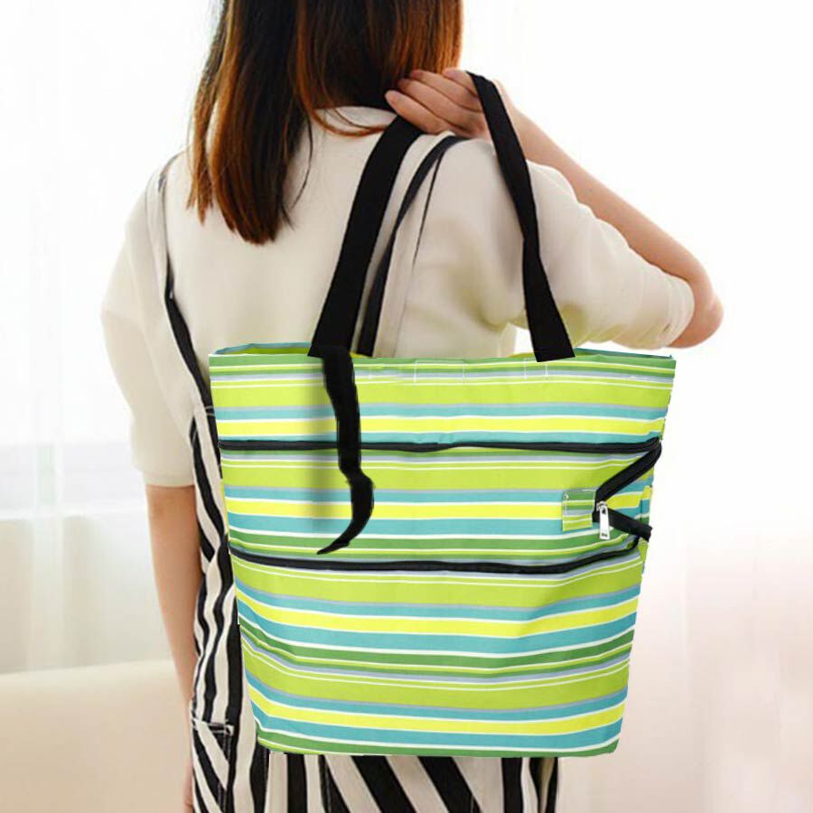 Reusable and Foldable Two Way Shopping Bag with Wheels (Size 50x20x40 Cm) - Green and Multi