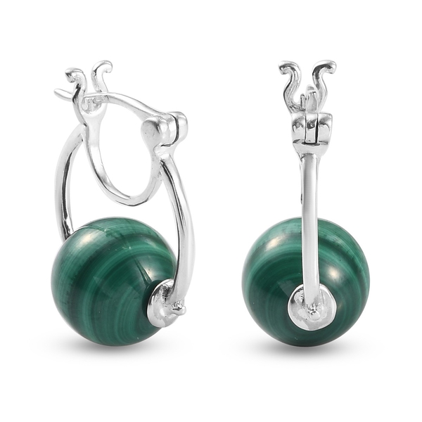 Malachite Hoop Earrings (with Clasp) in Sterling Silver 21.83 Ct