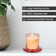 The 5th Season Scented Candle Cup with Glass Lid - Orange