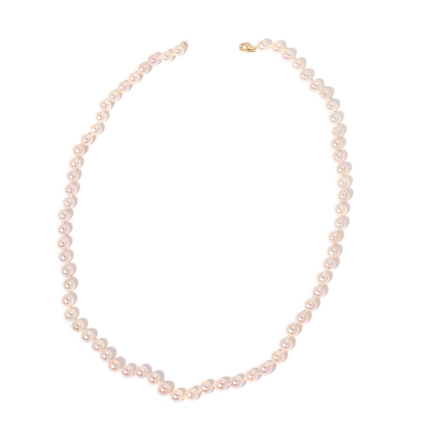 ILIANA 18K Y Gold  AAAA Japanese Akoya Pearl (Rnd) Necklace (Size 18)