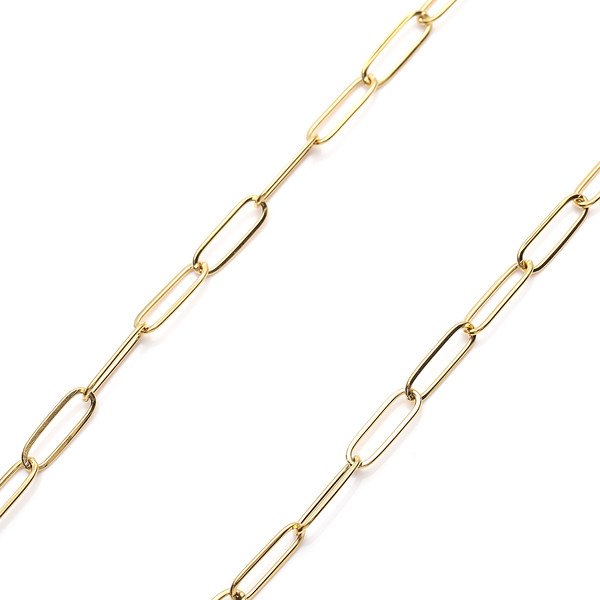 Paperclip Chain Necklace (Size 18)With Charm in Yellow Gold Tone