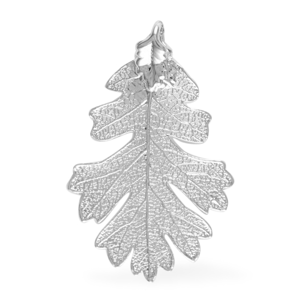 Real Natural Lacey Oak Leaf Pendant (Size 4.5 - 5 Cm) Dipped in Silver