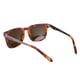 DUNLOP Unisex Tortoise Wayfarer Sunglasses -  Brown